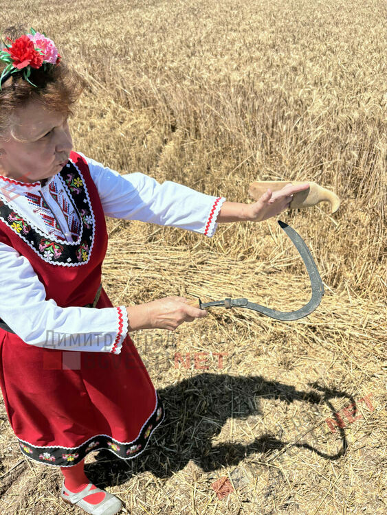 Ритуално зажънване даде старт на жътвата в димитровградско