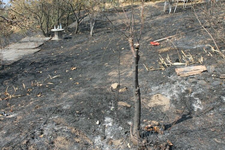 Снимката е илюстративна