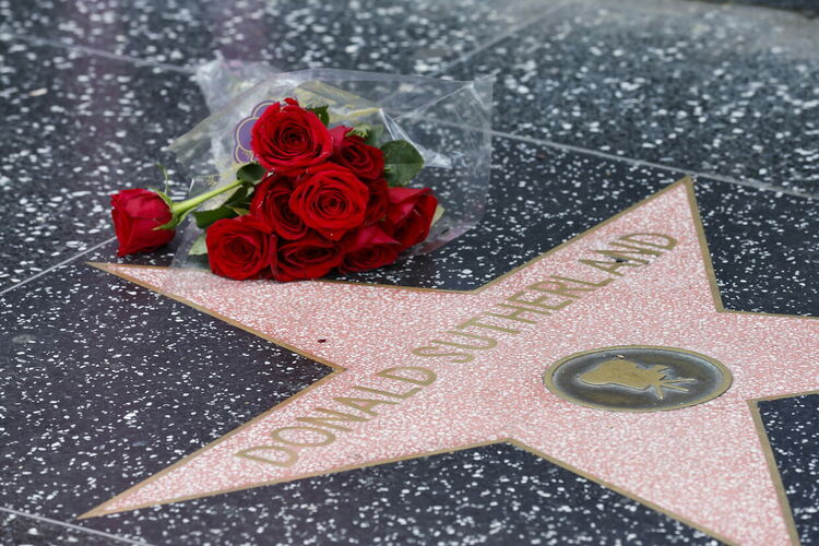 Снимки: БГНЕС