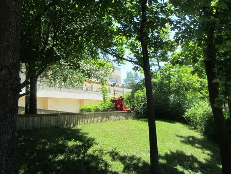 На 24-ти в Смолян пърскат срещу комари,призовават да затворим прозорците 