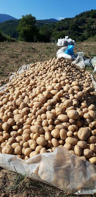 Намаляват бюрократичната тежест за проекти на млади и малки стопани