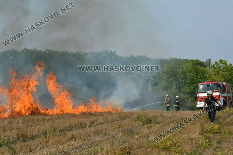 Снимка Архив