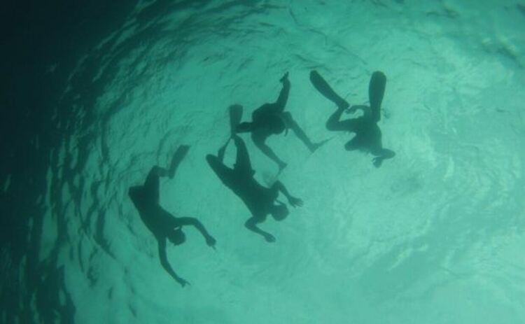 Благодарение на генна мутация азиатско племе баджау прекарват около 60 % от времето си под вода