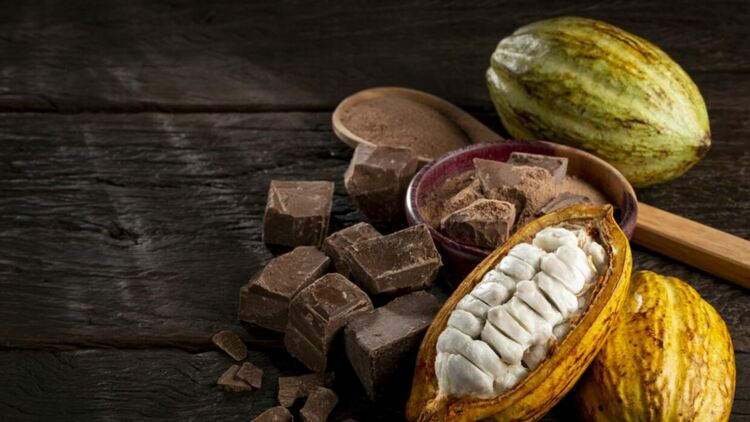 Може ли шоколадът да бъде здравословен?