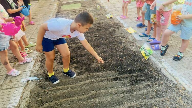 Деца сами си отглеждат зеленчуци и подправки в детските градини в община Димитровград