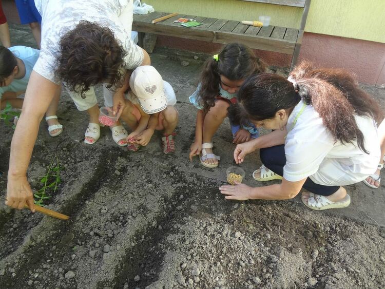 Деца сами си отглеждат зеленчуци и подправки в детските градини в община Димитровград