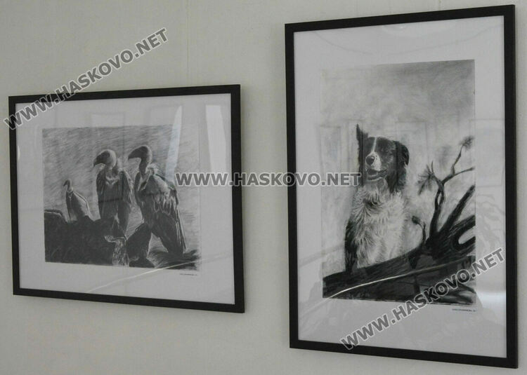 Избрани платна представят творците от „Дъга“ в галерия „Форум“