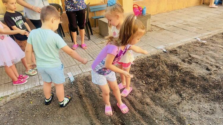 Деца сами си отглеждат зеленчуци и подправки в детските градини в община Димитровград