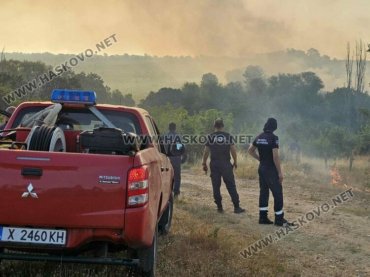 Пчелар подпали житен блок и лозе край Елена, пожар унищожи пшеница и гора