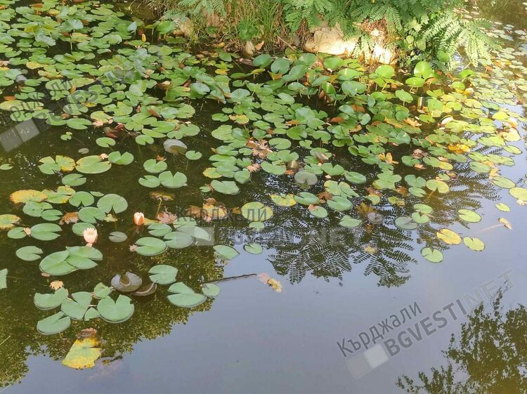 Оранжев код за порои и гръмотевици е обявен за Кърджалийска област