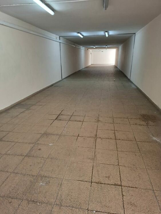 Кой боядиса подлеза до мелницата?