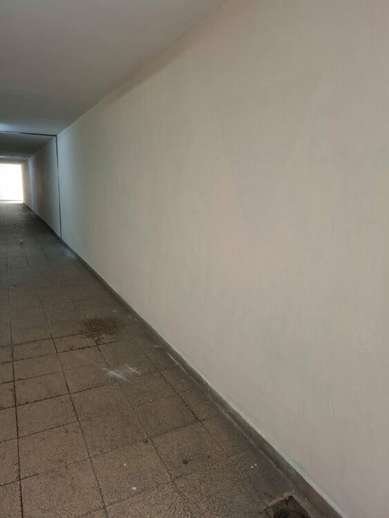 Кой боядиса подлеза до мелницата?