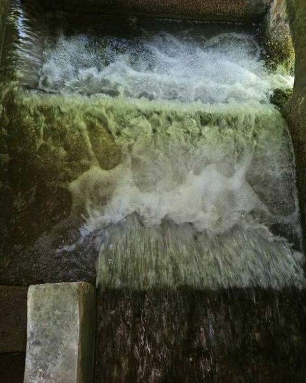  „Радомирци вода газат а жадни одат.“