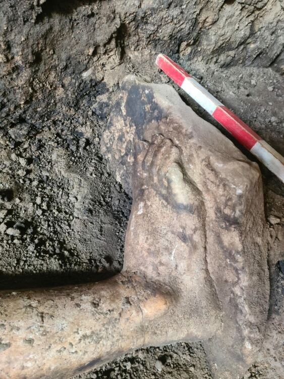 Статуята е с височина над 2 метра и предстои да бъде почистена и извадена. Снимка: Община Петрич