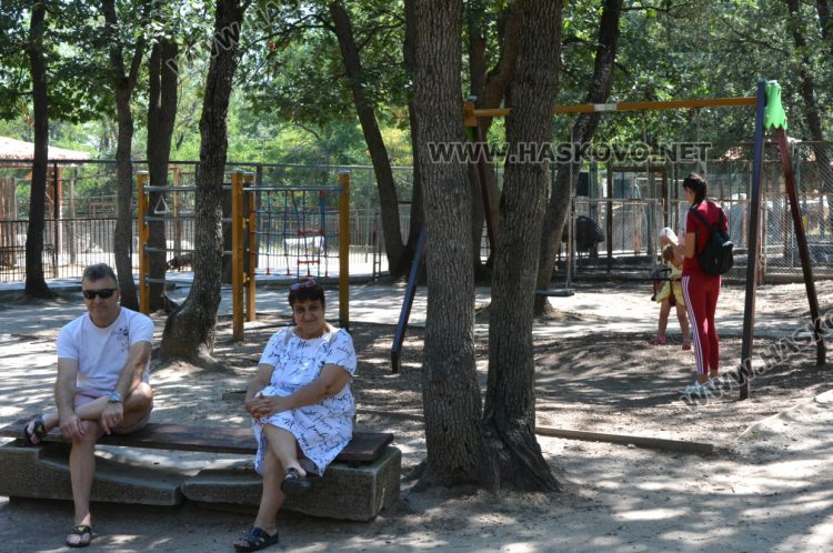 С кубчета леден таратор глезят тревопасните животни в жегите