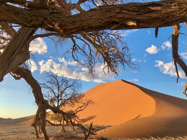 Viasat Nature представя дивите чудеса на Африка този юли