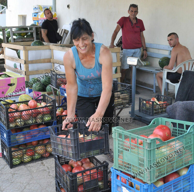 Дините в Любимец – 40 ст, на пазара в Хасково по левче за килограм