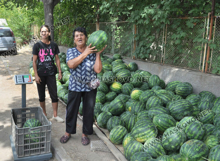 Дините в Любимец – 40 ст, на пазара в Хасково по левче за килограм