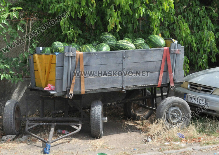 Дините в Любимец – 40 ст, на пазара в Хасково по левче за килограм