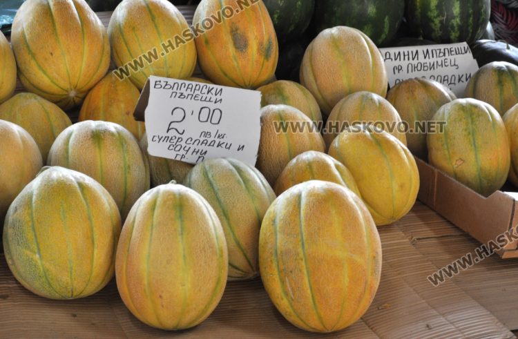 Дините в Любимец – 40 ст, на пазара в Хасково по левче за килограм