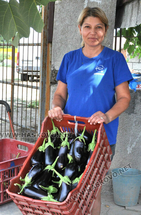 Дините в Любимец – 40 ст, на пазара в Хасково по левче за килограм