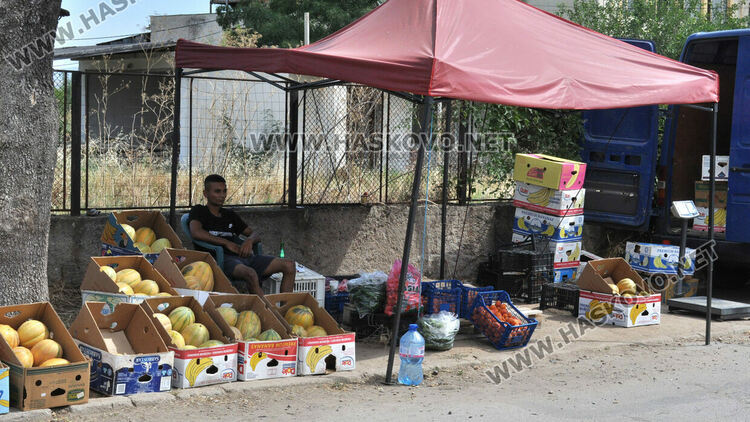 Дините в Любимец – 40 ст, на пазара в Хасково по левче за килограм