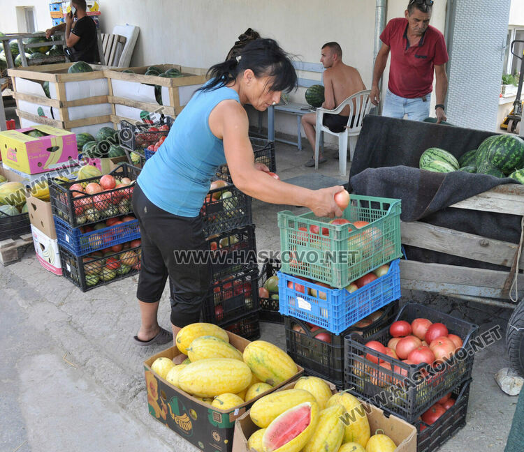 Дините в Любимец – 40 ст, на пазара в Хасково по левче за килограм