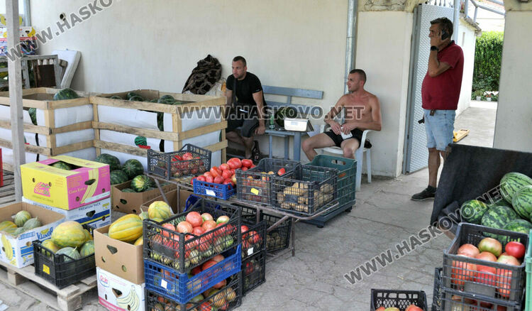 Дините в Любимец – 40 ст, на пазара в Хасково по левче за килограм