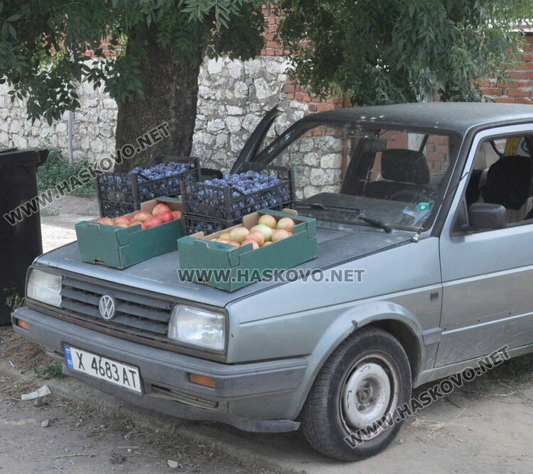 Дините в Любимец – 40 ст, на пазара в Хасково по левче за килограм