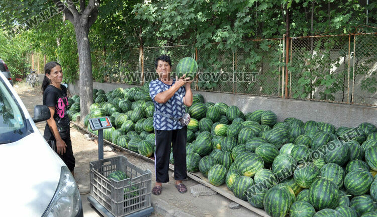 Дините в Любимец – 40 ст, на пазара в Хасково по левче за килограм