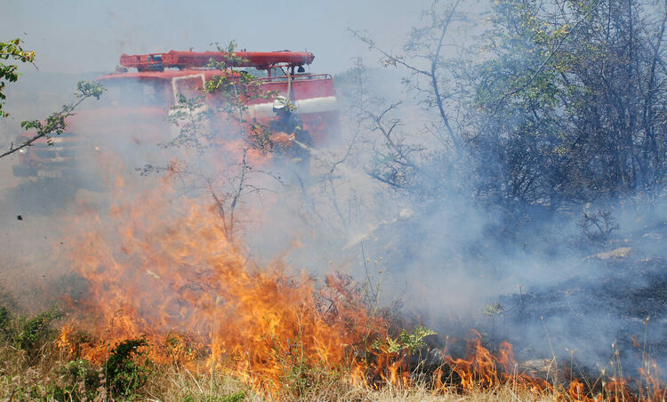 Изгоряха над 10 къщи в село Горноселци, обявиха бедствено положение в Ивайловград и Тополовград