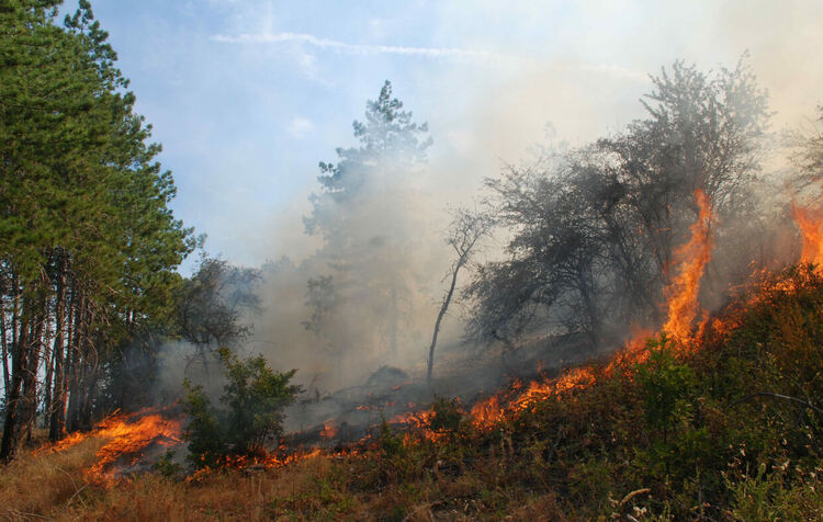 Изгоряха над 10 къщи в село Горноселци, обявиха бедствено положение в Ивайловград и Тополовград