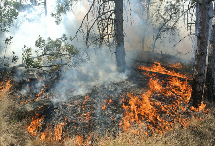 Изгоряха над 10 къщи в село Горноселци, обявиха бедствено положение в Ивайловград и Тополовград