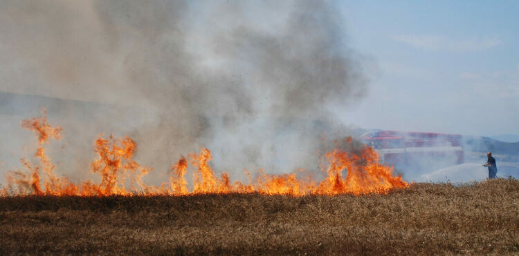 Изгоряха над 10 къщи в село Горноселци, обявиха бедствено положение в Ивайловград и Тополовград