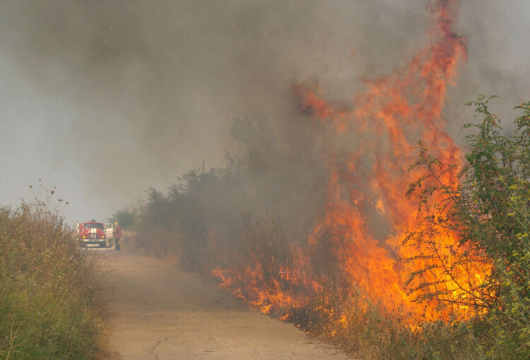 Изгоряха над 10 къщи в село Горноселци, обявиха бедствено положение в Ивайловград и Тополовград