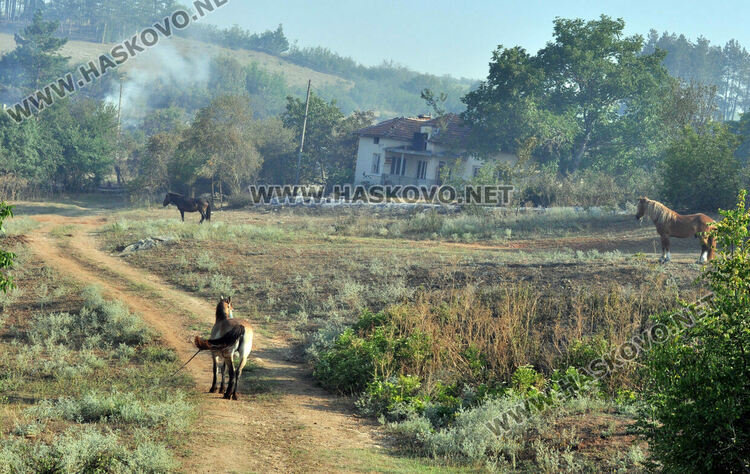Ситуацията с пожарите в Хасковска област остава критична 