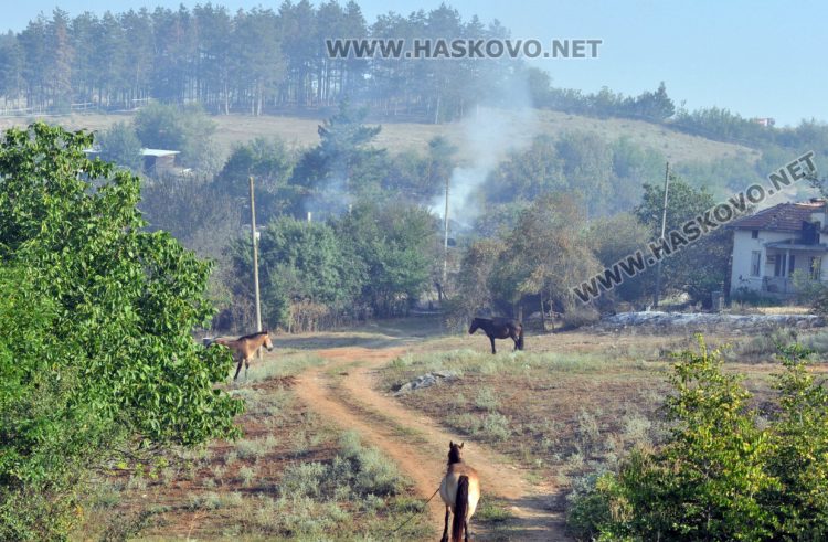 Ситуацията с пожарите в Хасковска област остава критична 