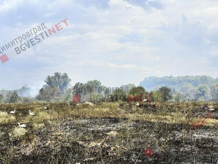 Пожар в Димитровград, навлиза в индустриална зона - обновява се