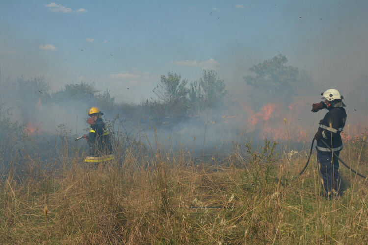 Пламнаха сухи треви и храсти до македонските гробища в Хасково