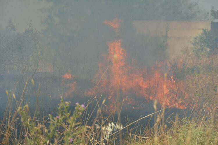Пламнаха сухи треви и храсти до македонските гробища в Хасково