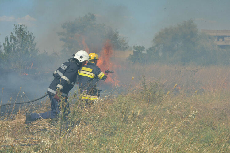 Пламнаха сухи треви и храсти до македонските гробища в Хасково