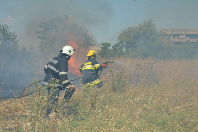 Пламнаха сухи треви и храсти до македонските гробища в Хасково