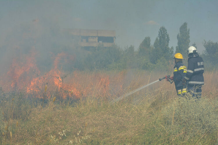 Пламнаха сухи треви и храсти до македонските гробища в Хасково