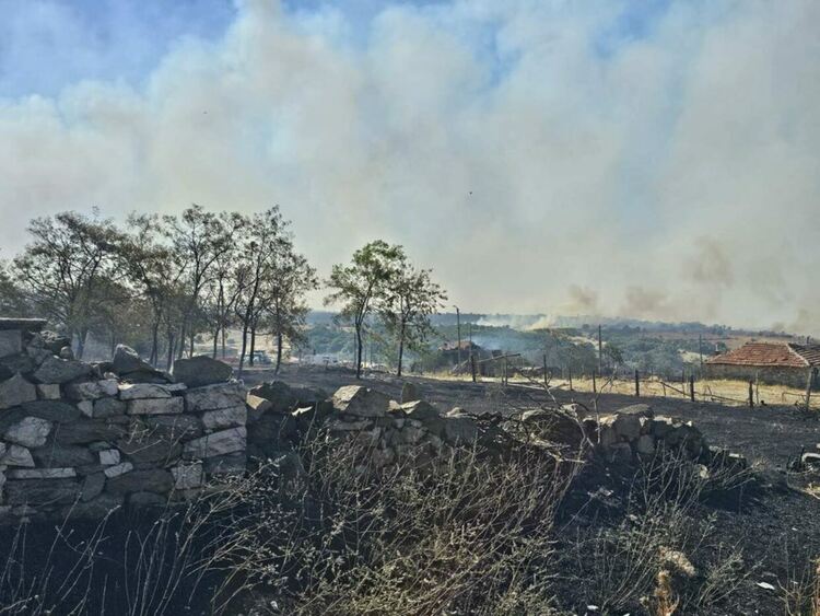 Евакуираха хора и в Свиленградско, стихията изпепели Равна гора