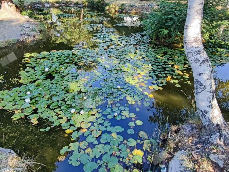Жега днес в Кърджали,ветровито
