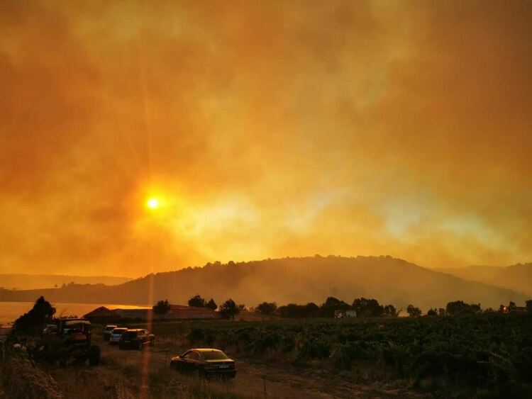 Отново се разпали пожарът край Симеоновград, затворени са пътища