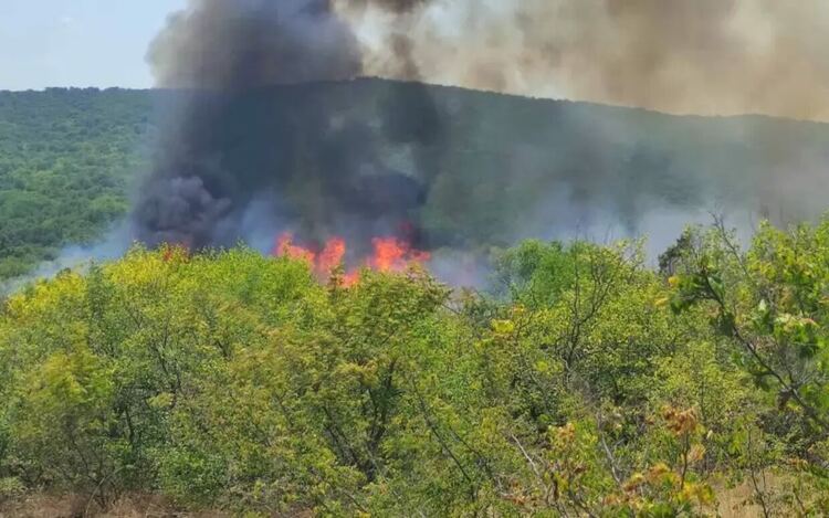 Температурата в Първомай достигна 43,3°C