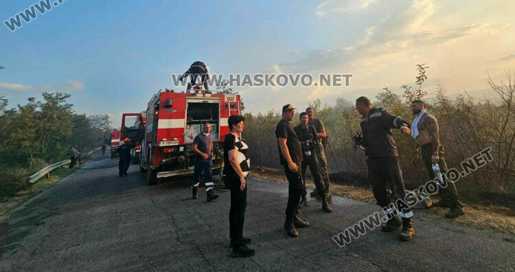 Изгоряха вили и ферма с овце при пожара край Харманли, пострадаха пожарникари