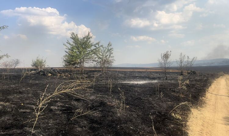 Пожар гори край бензиностанция в Харманли, има опасност от взрив