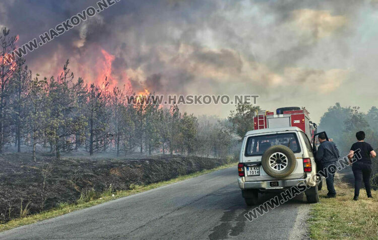 Изгоряха вили и ферма с овце при пожара край Харманли, пострадаха пожарникари